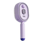 Electric Spray Massage Comb