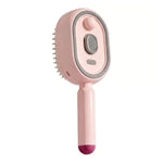 Electric Spray Massage Comb