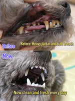 Babyouth Pet Dental Cleaning Tablets