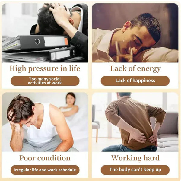 Ginseng & Mulberry Infusion Tea